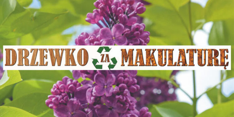 Stalowa Wola: Ponad 6 tysięcy sadzonek do rozdania w 12. edycji akcji „Drzewko za makulaturę”