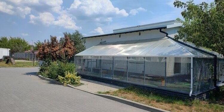 Mielec: Charytatywna zbiórka elektrośmieci