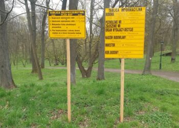 Tarnobrzeg. Park dzikowski przejdzie metamorfozę