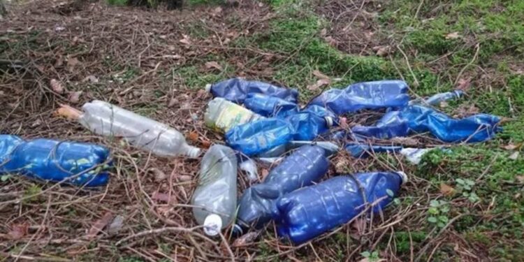 Tuszów Narodowy:  Najmłodsi ruszają na wiosenne porządki