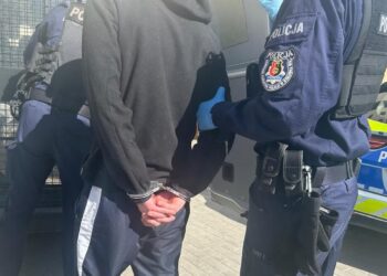 Stalowa Wola: 38-latek z zarzutem znęcania się nad psem