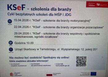 Tarnobrzeg. Urząd Skarbowy zaprasza na szkolenia branżowe KSeF.