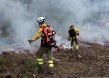 Tarnobrzeg. Komenda Miejska PSP ma swoich ludzi w specjalistycznym module do walki z pożarami lasów