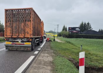 Sandomierz: Utrudnienia na dziewiątce. Rowerzysta w szpitalu