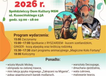 Mielec: Zapraszamy na piknik na terenie SDK w Mielcu!