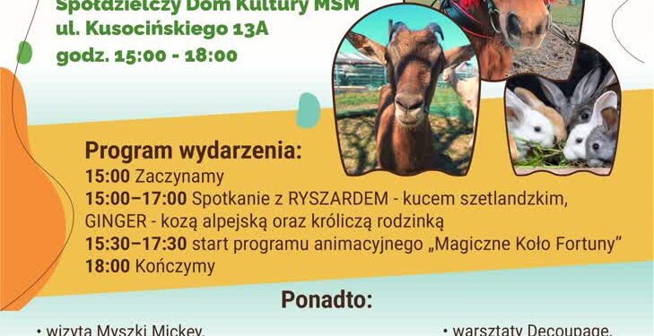 Mielec: Zapraszamy na piknik na terenie SDK w Mielcu!