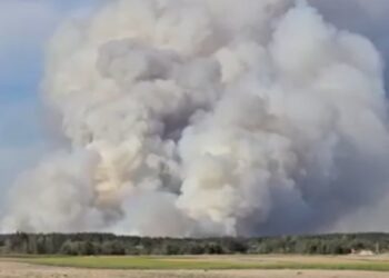 Region: Pożar lasu na Roztoczu. Nie żyje pilot Dromadera, w akcji setki strażaków