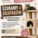 Sandomierz: Koci przyjaciele proszą o drapaki