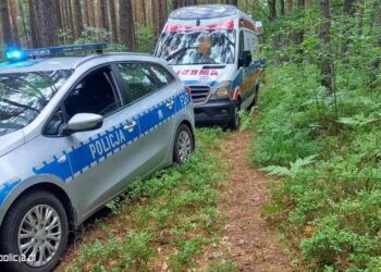 Połaniec. Makabryczne odkrycie – znaleziono ludzkie szczątki