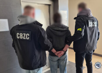 Tarnobrzeg. Ogólnopolska akcja przeciw pedofilii. Wśród zatrzymanych 54-latek z Tarnobrzega