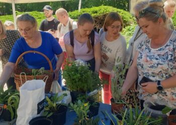 Tarnobrzeg. Kwiaty z drugiego obiegu. Mieszkańcy znów wymieniali rośliny