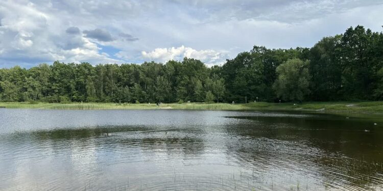 Mielec: Pozostawmy naturę samej sobie…