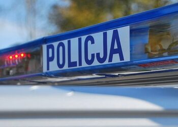 Tarnobrzeg: Czujność egzaminatora udaremniła próbę oszustwa