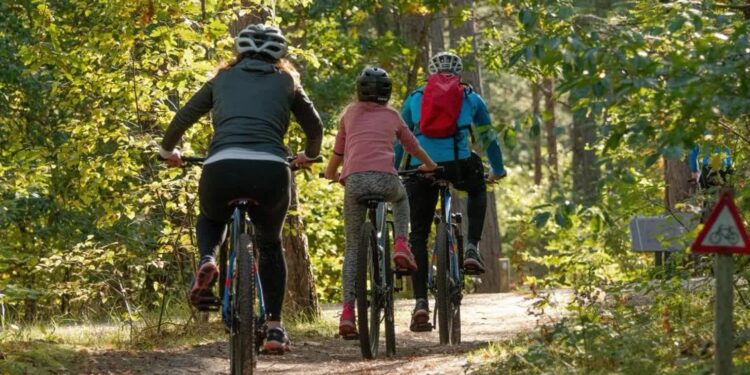 Mielec: XV edycja Mieleckiego Leśnego MiniRajdu Rowerowego.