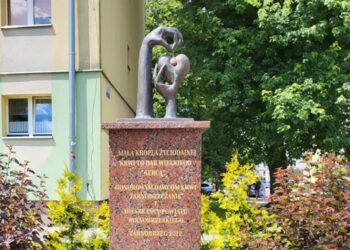Tarnobrzeg. Uczczą Światowy Dzień Krwiodawcy
