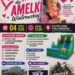 Wola Wiśniowska: Pomóż Amelce z Opatowa. Charytatywny piknik z atrakcjami