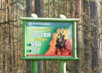 Mielec: Idzie lato ..bądźmy czujni i ostrożni w lesie