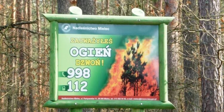 Mielec: Idzie lato ..bądźmy czujni i ostrożni w lesie