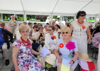 Sandomierz: Dziś XI Senioralia 2026