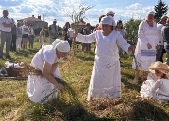 Sandomierz: Staropolskie żniwa w Nadbrzeziu po raz szósty przyciągnęły widzów