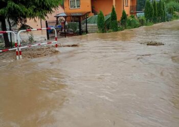 Region: Zerwane dachy, podtopienia i powalone drzewa po burzach