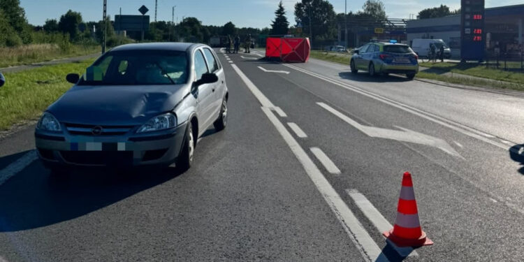 Zarzecze: Śmiertelne potrącenie pieszego na DW 878