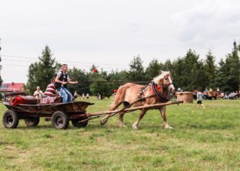 Gorzyce. 9. Zlot Furmanek w Furmanach