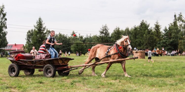 Gorzyce. 9. Zlot Furmanek w Furmanach