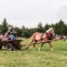 Gorzyce. 9. Zlot Furmanek w Furmanach
