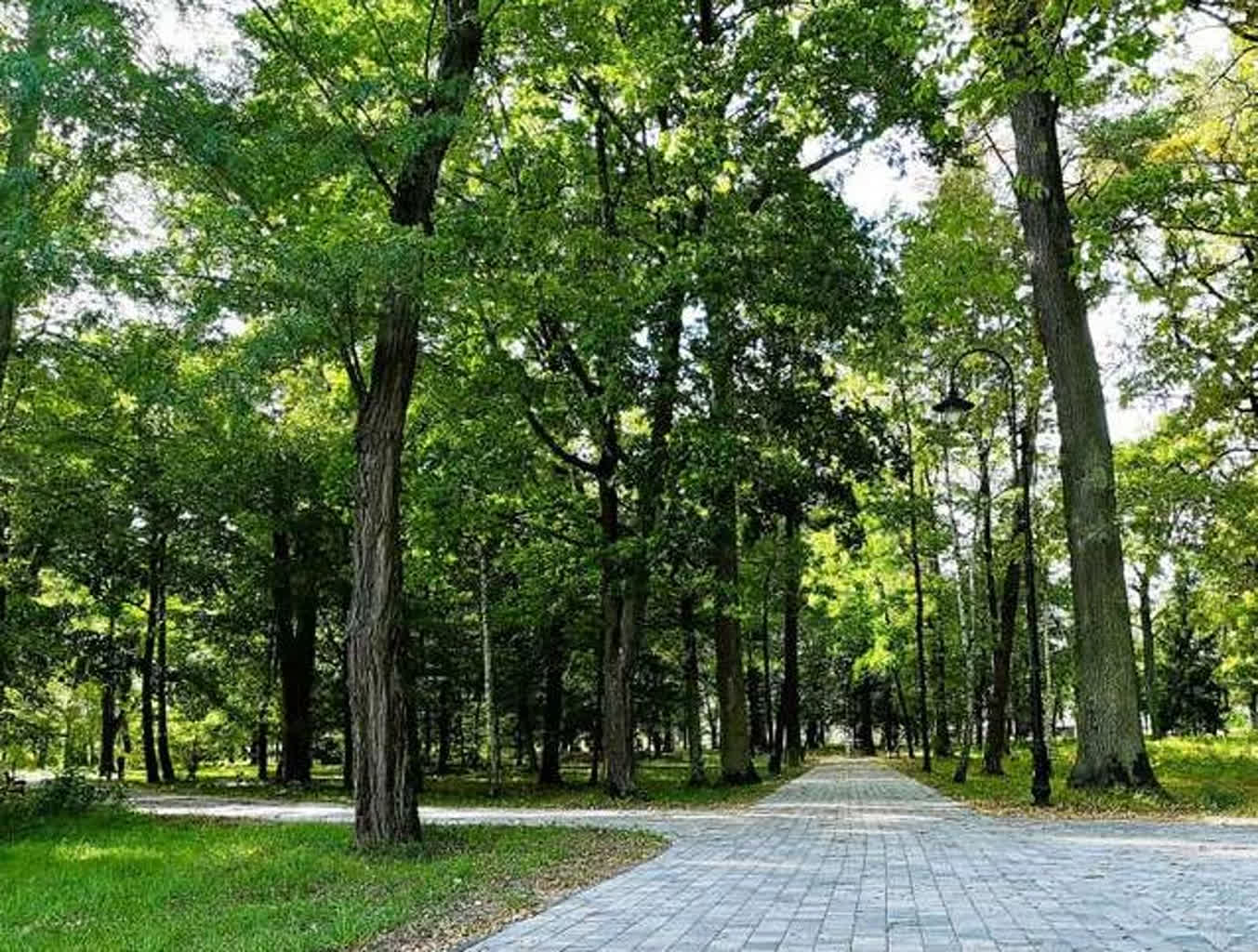 bojanow-park-po.jpg