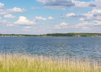 Tarnobrzeg. Przetarg na stanicę żeglarską zostanie ogłoszony ponownie