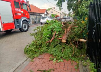 Stalowa Wola. Burze i deszcze nad miastem
