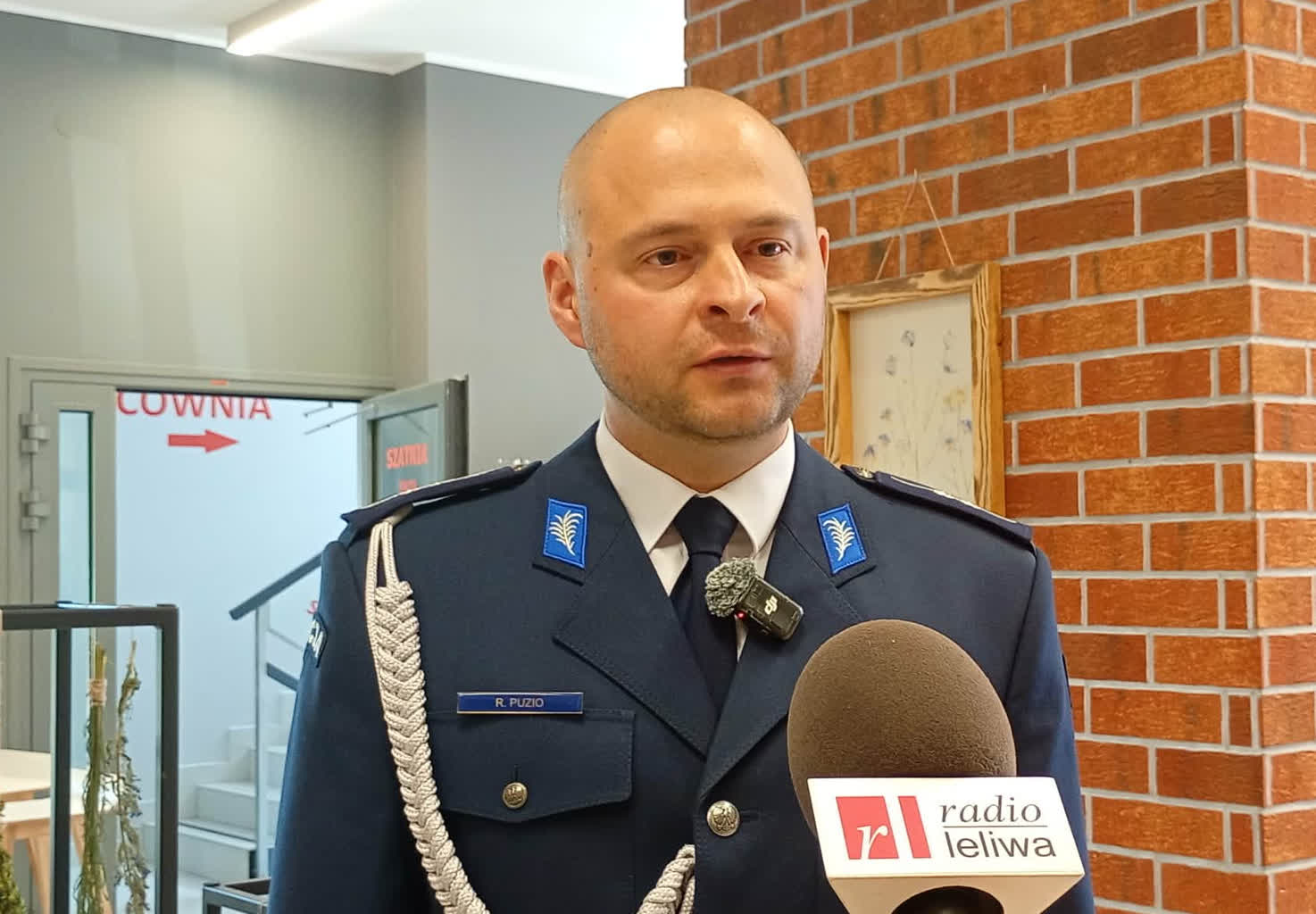 pol8.jpg