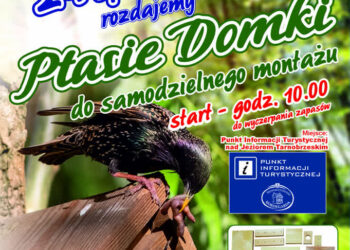 Tarnobrzeg. Budki lęgowe i „Naturalnie z Leliwą” nad jeziorem