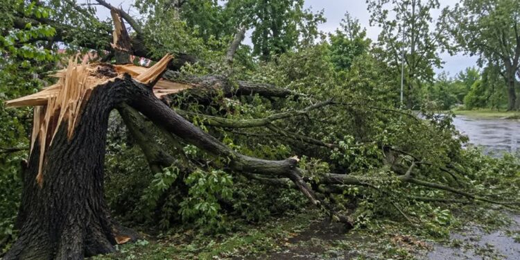 Mielec: 23 interwencje strażaków po gwałtownych burzach