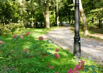 Bojanów: Zabytkowy park pięknieje. Podsumowanie inwestycji połączone z koncertem już 5 września
