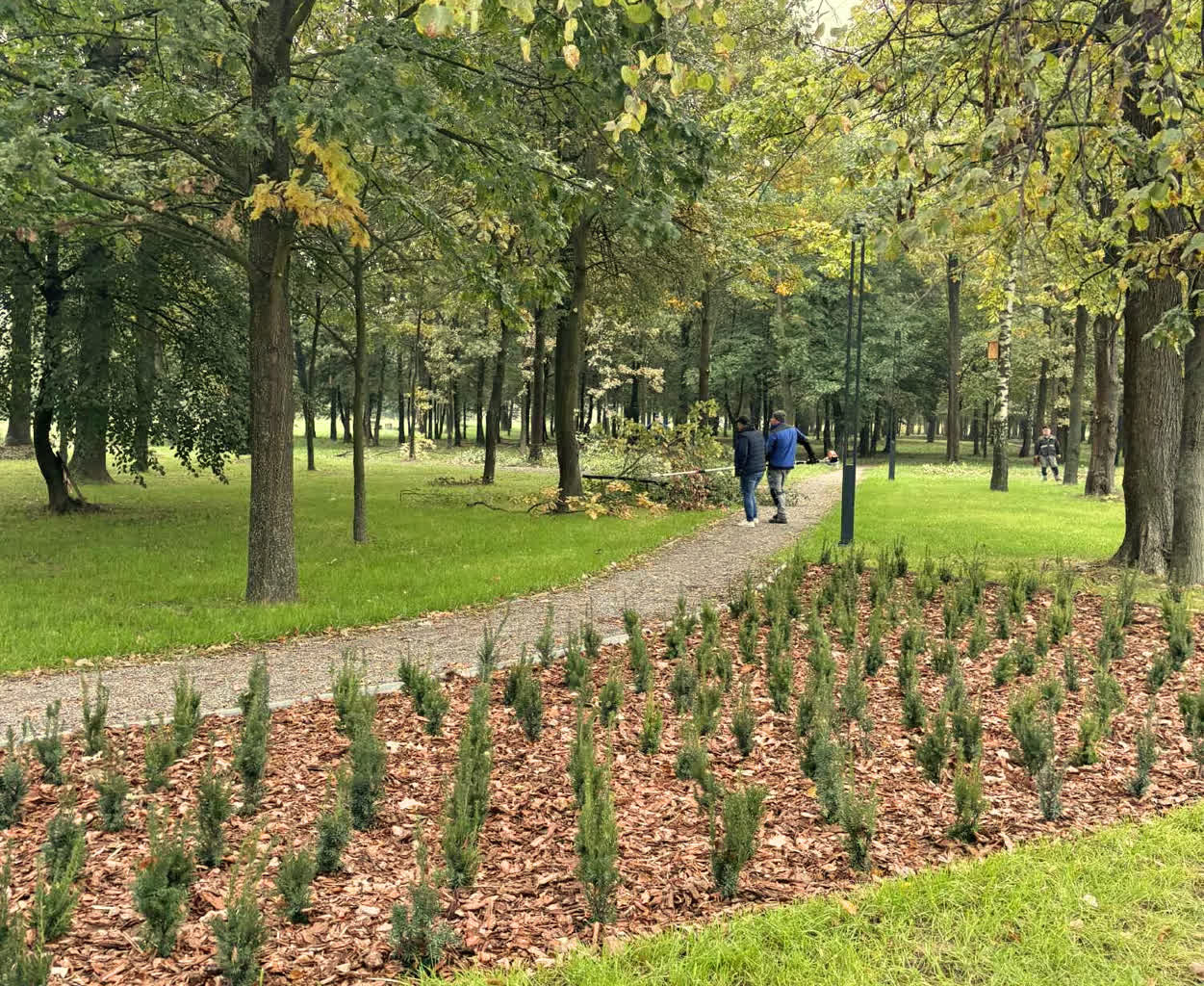 jeżowe-park2.jpg