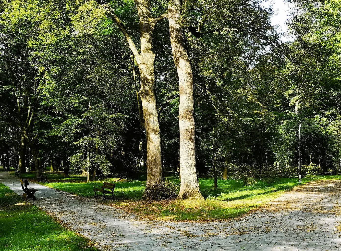bojanow-park3.jpg
