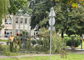 Tarnobrzeg. Strażacy interweniowali 39 razy po przejściu silnego wiatru i opadów.