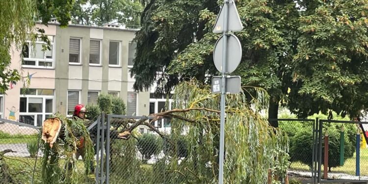 Tarnobrzeg. Strażacy interweniowali 39 razy po przejściu silnego wiatru i opadów.