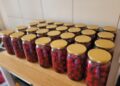 Sandomierz: Zarząd Powiatu w Sandomierzu apeluje do rządu o natychmiastową interwencję w związku z krytyczną sytuacją na rynku skupu wiśni