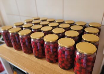 Sandomierz: Zarząd Powiatu w Sandomierzu apeluje do rządu o natychmiastową interwencję w związku z krytyczną sytuacją na rynku skupu wiśni