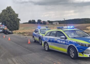 Sandomierz: Dachowanie Opla w Nowej Wsi. 28-latka trafiła do szpitala