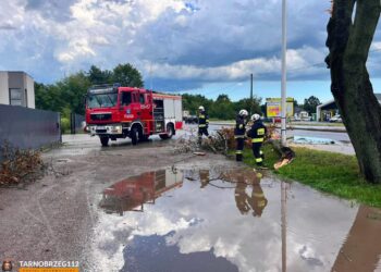 Tarnobrzeg. Interwencje strażaków.