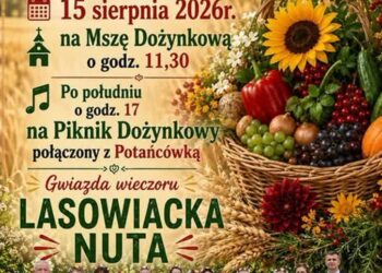 Tarnobrzeg. Dzików podziękuje za tegoroczne plony