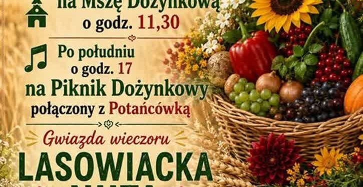 Tarnobrzeg. Dzików podziękuje za tegoroczne plony