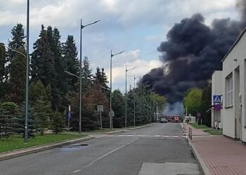 Mielec: Trwa wyjaśnianie okoliczności sobotniego pożaru
