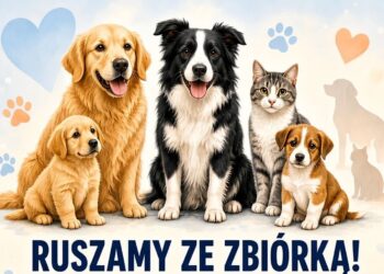 Tarnobrzeg. Pomóżmy zwierzętom z Machowa. Zbiórka karmy