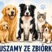 Tarnobrzeg. Pomóżmy zwierzętom z Machowa. Zbiórka karmy