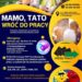Tarnobrzeg. „Mamo, tato – wróć do pracy”. Piknik przed starostwem